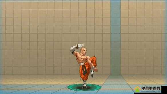 街霸对决释芝安怎么搭配？斗魂推荐攻略