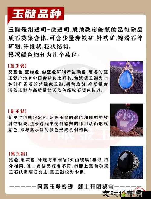 烟雨江湖紫玉髓能加多少真元 加多少内元介绍