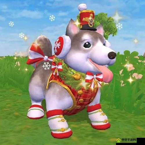 创造与魔法圣诞哈士奇获取全攻略