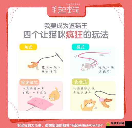 灵猫传逗猫棒使用秘籍，小花园逗猫全攻略