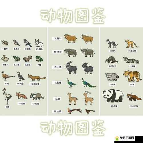 江南百景图野生动物怎么安置 动物安置方法介绍