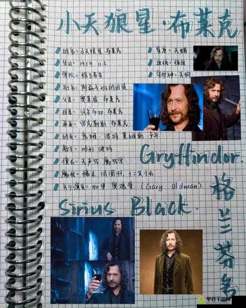 最强蜗牛特工小天狼怎么选？小天狼星选项攻略