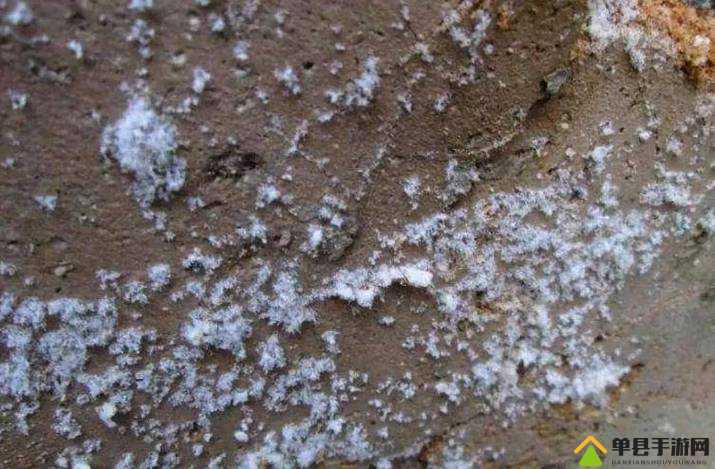 江南百景图硝石长什么样？硝石图片一览及未来玩法革命预测