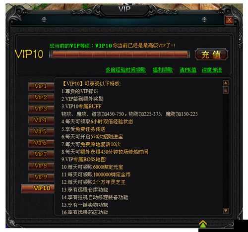 武道神尊VIP特权礼包究竟包含哪些超值福利与专属特权？一探究竟