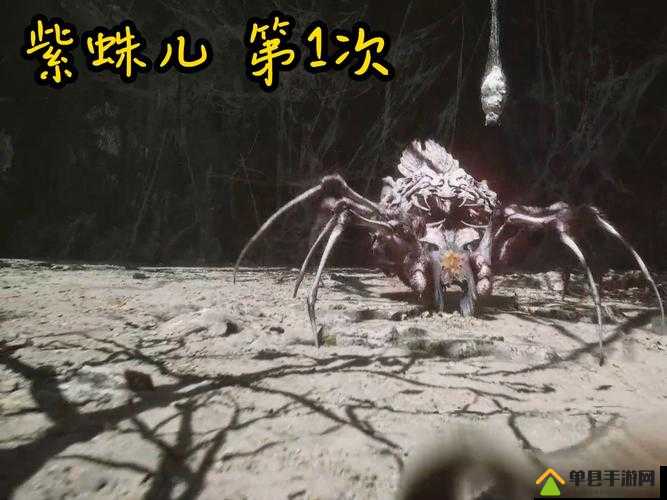 崩溃了！LOR宝贝蝳蛛特效不触发？5个必看解决法！